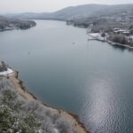 découvrez l'évolution captivante de l'aspicot, explorant chaque étape de son cycle de vie dans un voyage fascinant à travers sa métamorphose.