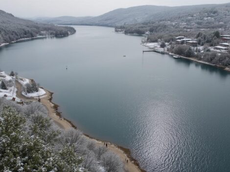 découvrez l'évolution captivante de l'aspicot, explorant chaque étape de son cycle de vie dans un voyage fascinant à travers sa métamorphose.